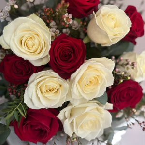 Lovely Roses